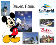 Tour America Holiday Deal for Orlando from €459pp!