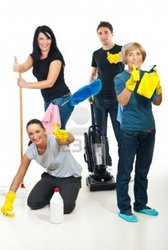 Octopus Services - Window and House Cleaning services