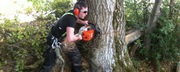 Find Tree Removal Services in Dublin