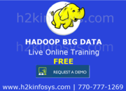 Big Data Online Training and Placement