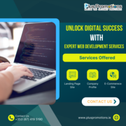 Unlock Digital Success With Expert Web Development Services