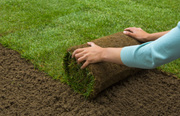 RELIABLE LAWN TURF SUPPLIER IN DUBLIN