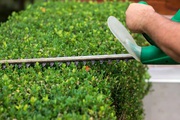 Professional Garden And Tree Services Dublin Reliable Affordable Exper
