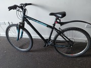 Kalin Mountain Bike Quick Sale