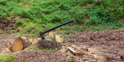 Professional Stump Grinding Services in Dublin for Cleaner Outdoor