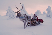 ORIGINAL SANTA CLAUS LETTERS DIRECT FROM LAPLAND FINLAND!